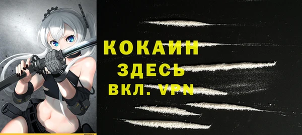 твердый Верхний Тагил